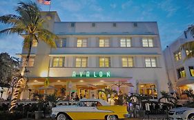 Avalon Hotel Miami Florida